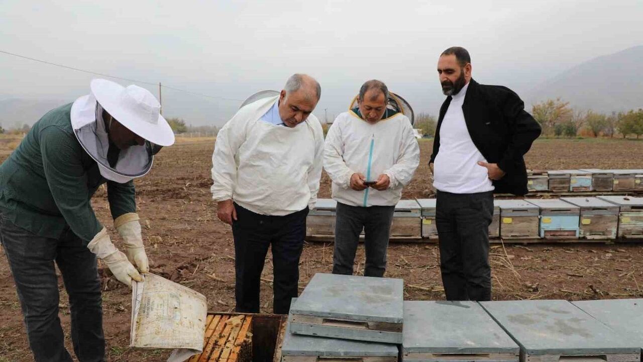 Elazığ'da Geven Balı Kolonileri Yerinde Denetlendi