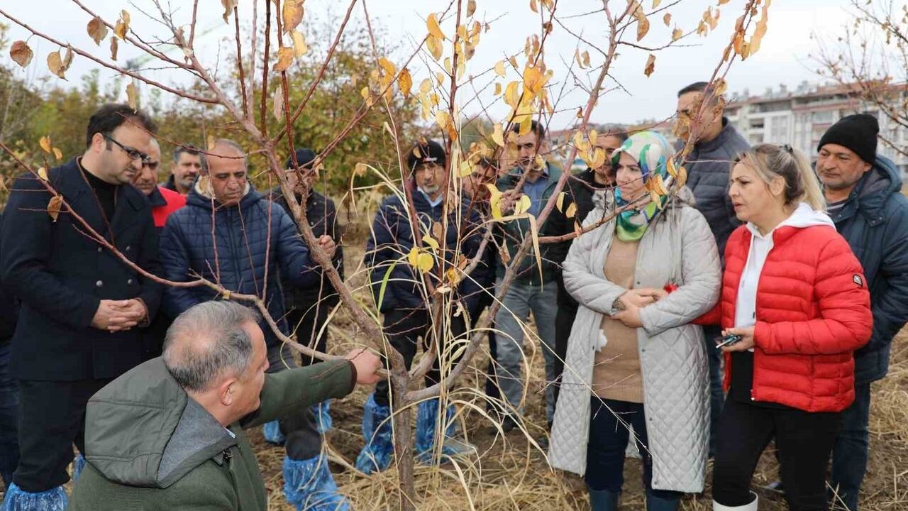 Elazığ'da Meyve Ağaçları İçin Budama ve Aşılama Eğitimi Tamamlandı