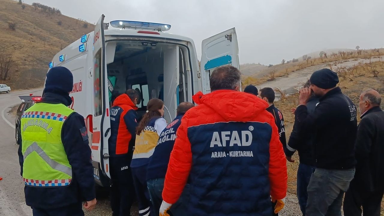 Elazığ'da pikap şarampole devrildi: 2 kişi yaralandı