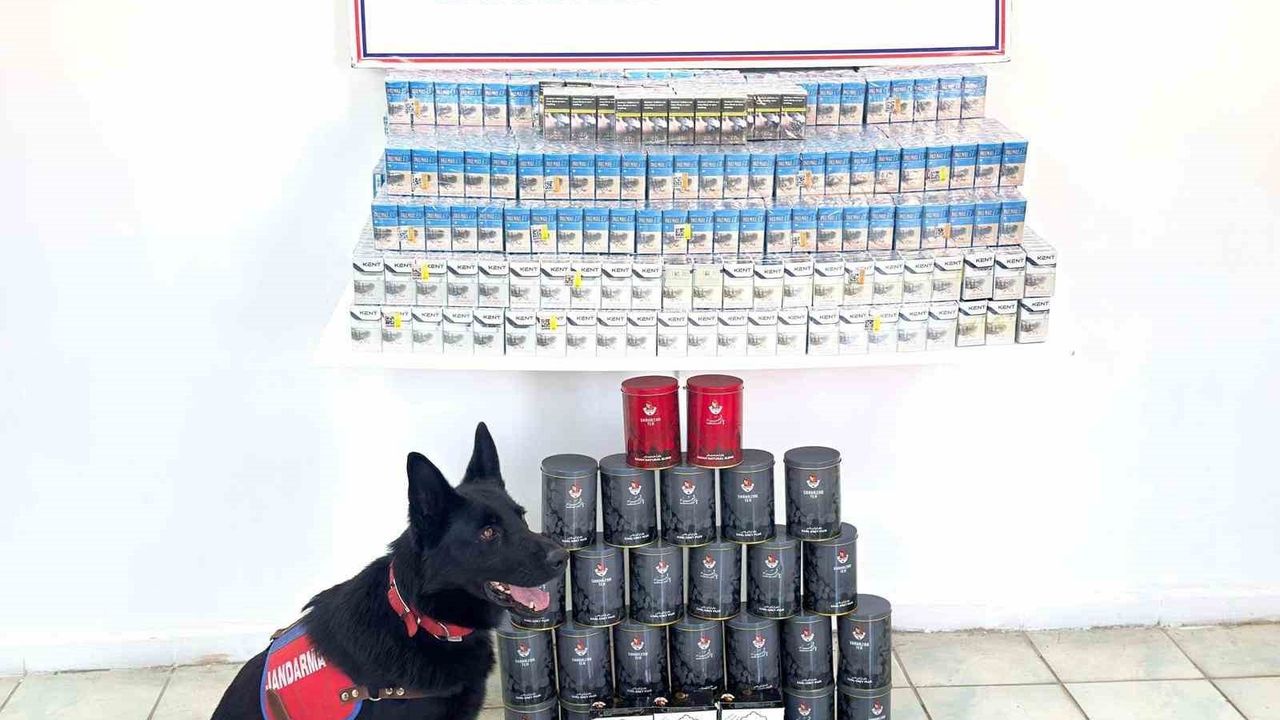 Erciş'te 2 bin 590 paket kaçak sigara ve 15 kilogram çay ele geçirildi