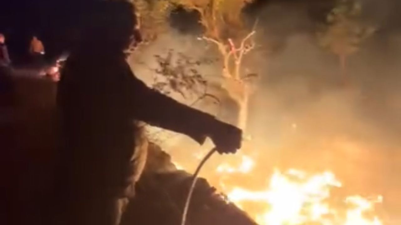 Erdemli'de baraka yangını seralara sıçramadan söndürüldü