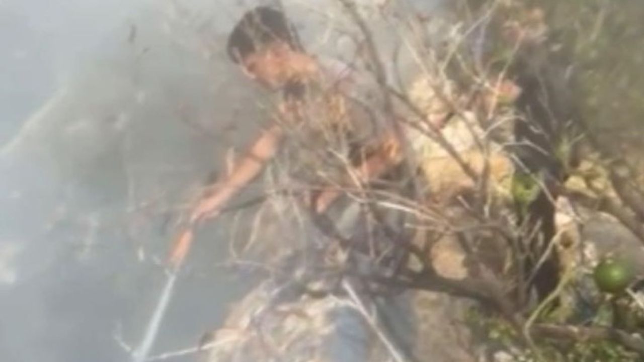 Erdemli'de makilik yangını narenciye bahçelerine sıçramadan kontrol altına alındı