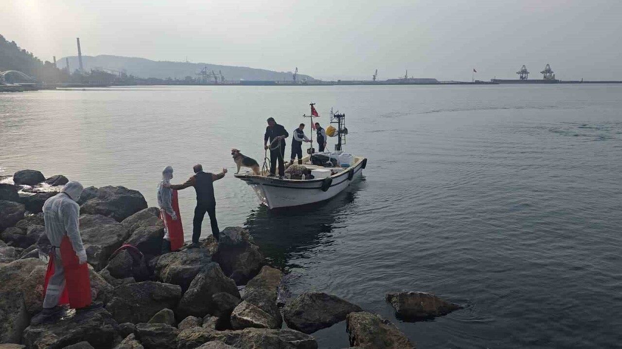 Ereğli'de 16. Karadeniz Hamsi Festivali yoğun ilgi gördü
