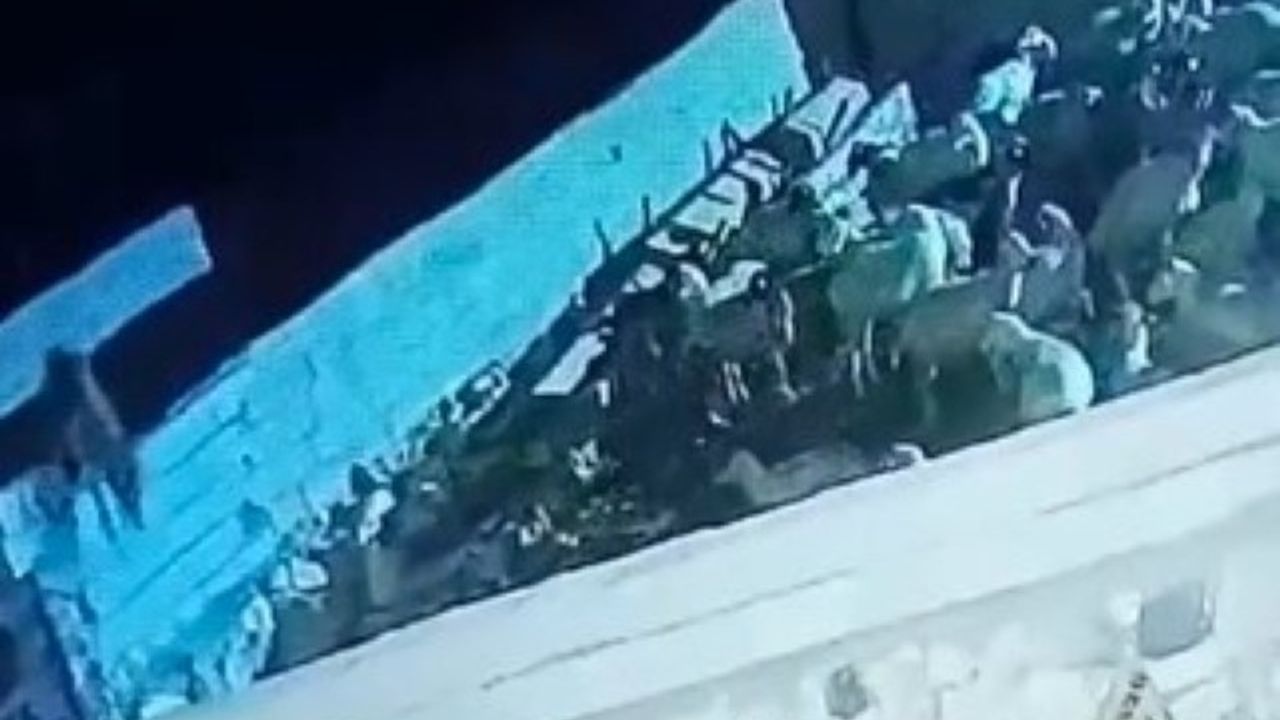 Ereğli'de Kurt Ağıla Girdi: Koyun Telef Oldu