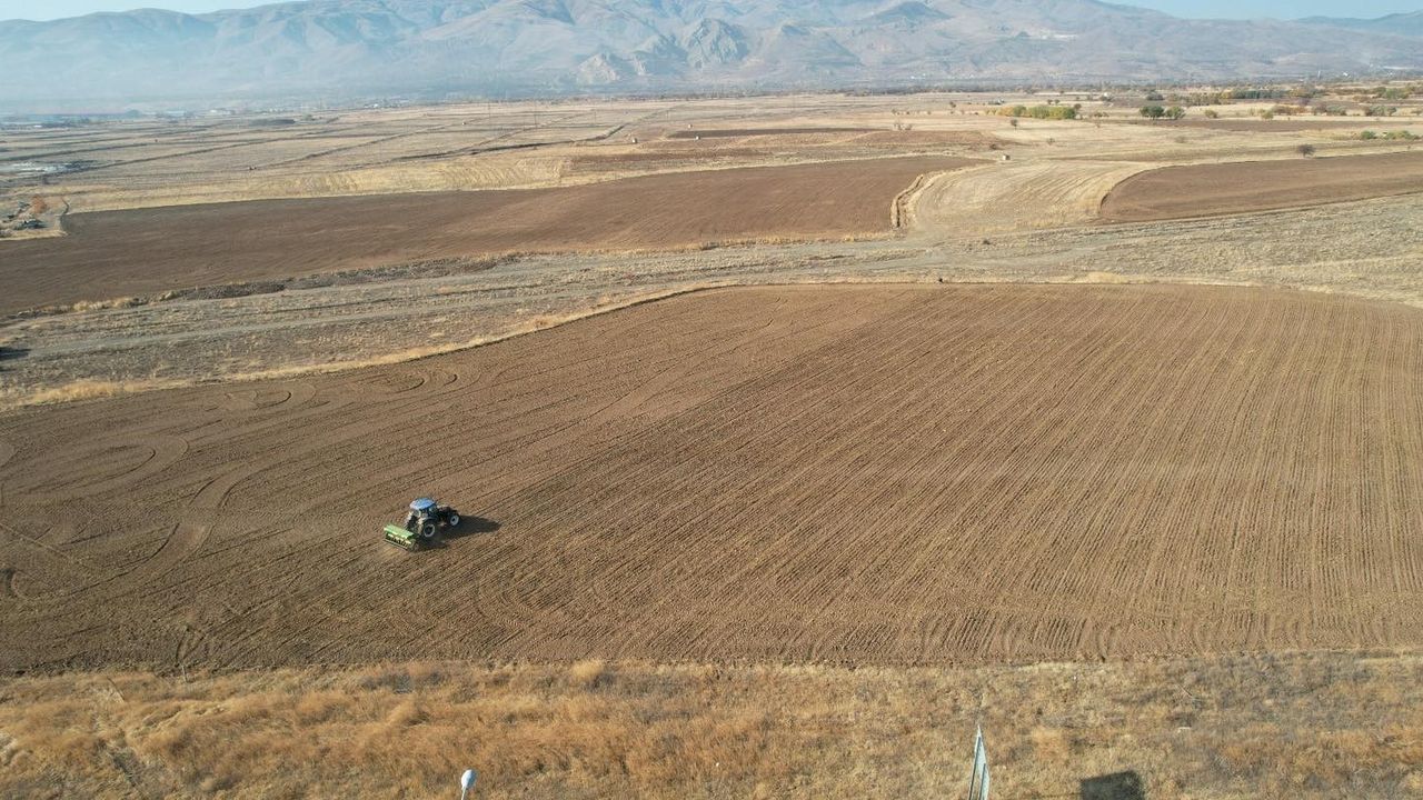 Erzincan Belediyesi uygulama tarlalarında hububat ekimi