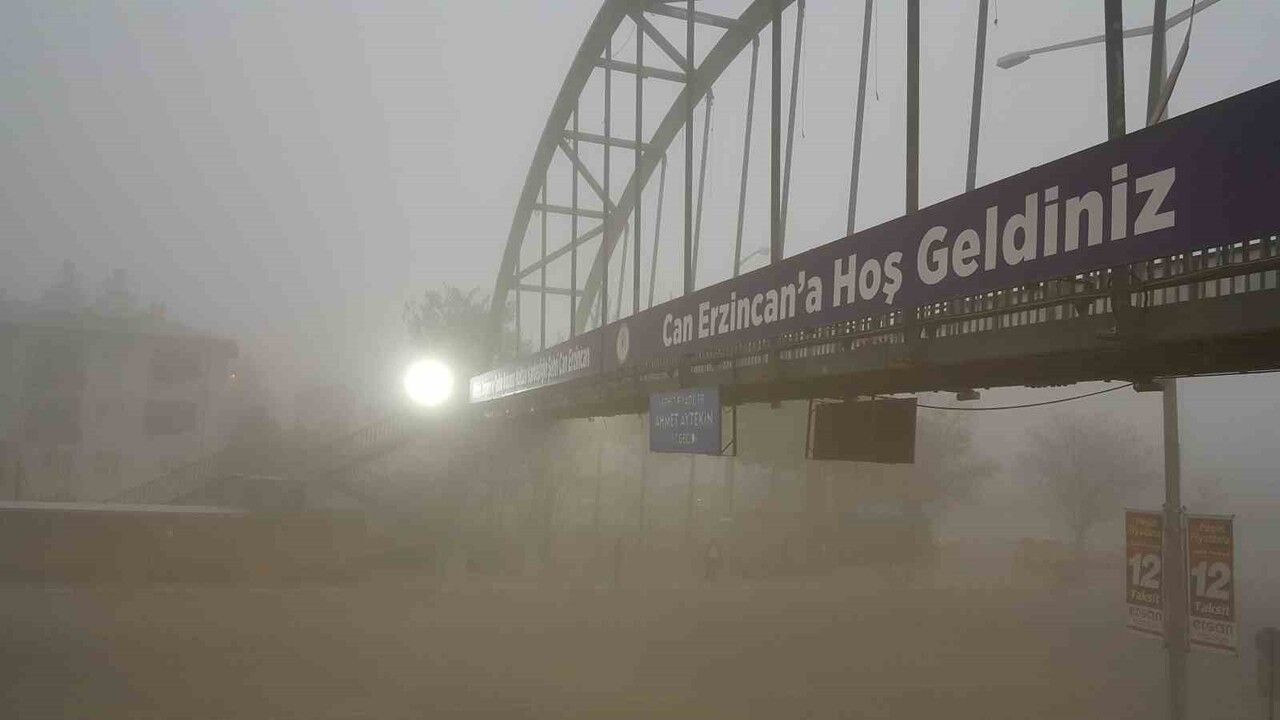 Erzincan'da sabah sis ve kırağı etkili oldu
