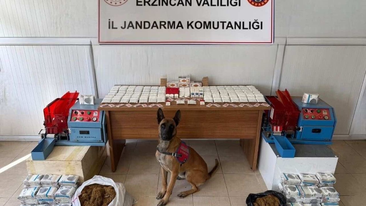 Erzincan Jandarması Kasım 2025 Bilançosu: 124 Olayın %93'ü Aydınlatıldı