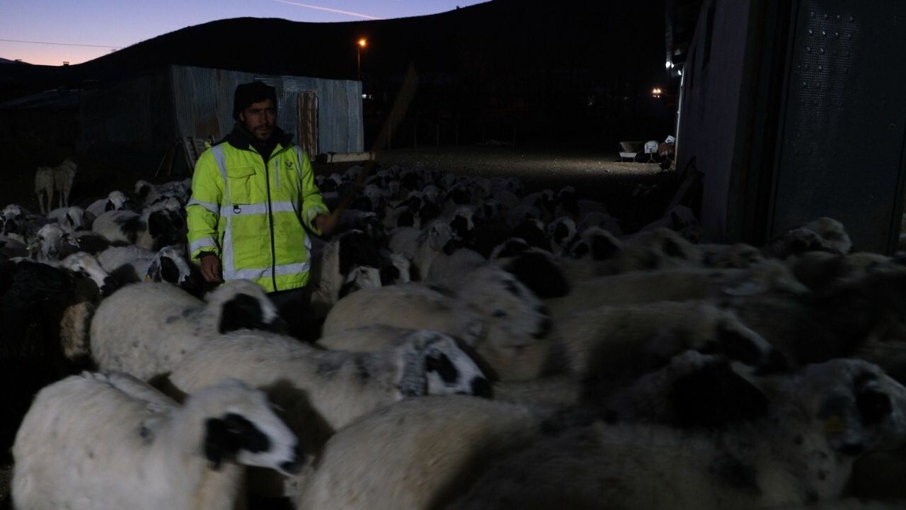 Erzincanlı üretici yüzde 50 hibe ile 8 Milyon TL’lik çiftlik kurdu