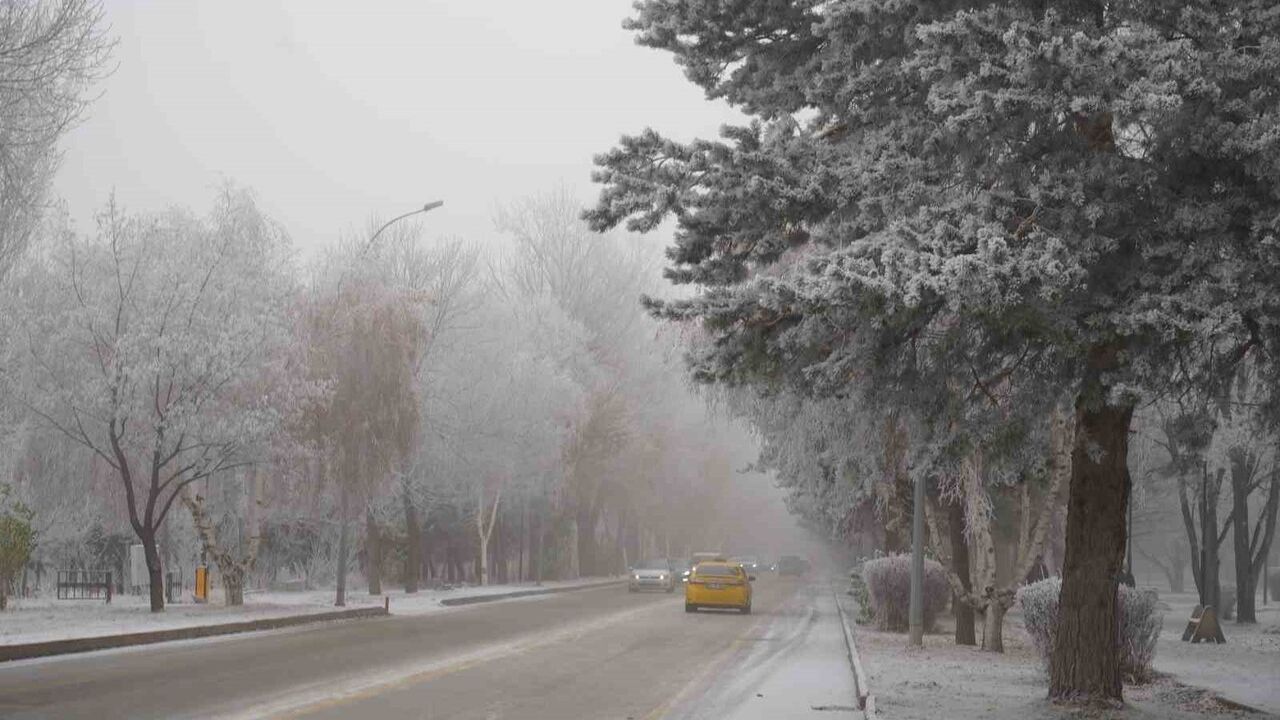 Erzurum'da 3 gündür süren soğuk: kırağı ve sis etkili