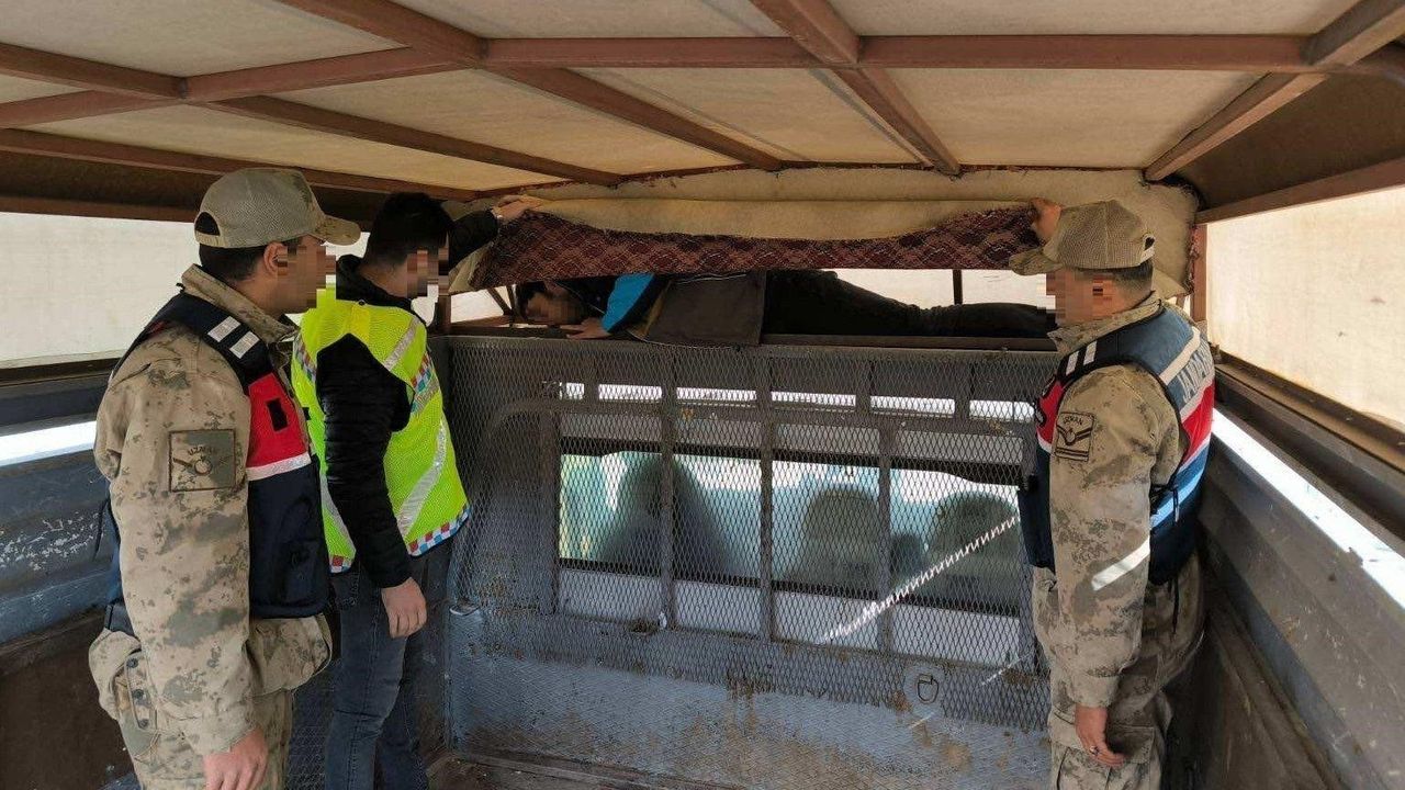 Erzurum'da Düzensiz Göçmen Operasyonları Başarıyla Devam Ediyor