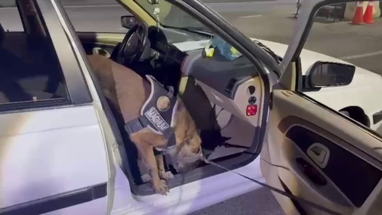 Erzurum'da narkotik köpeği Magnum araçta 8 kilo 550 gram metamfetamin buldu