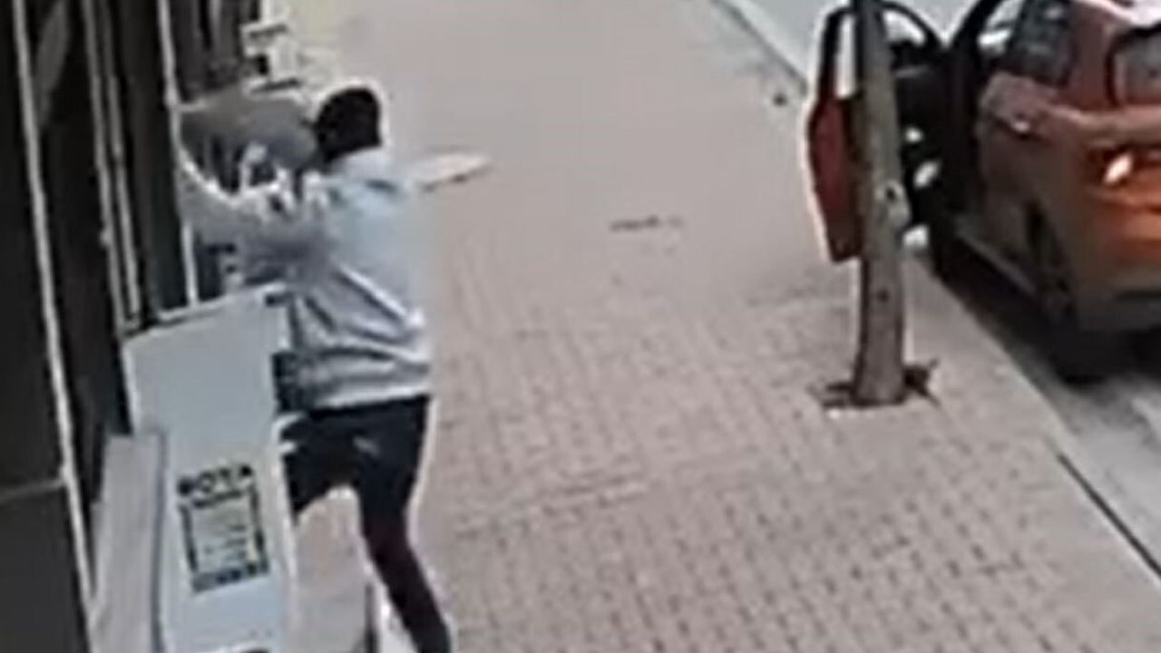 Esenyurt'ta balkondan cins kedi çalındı