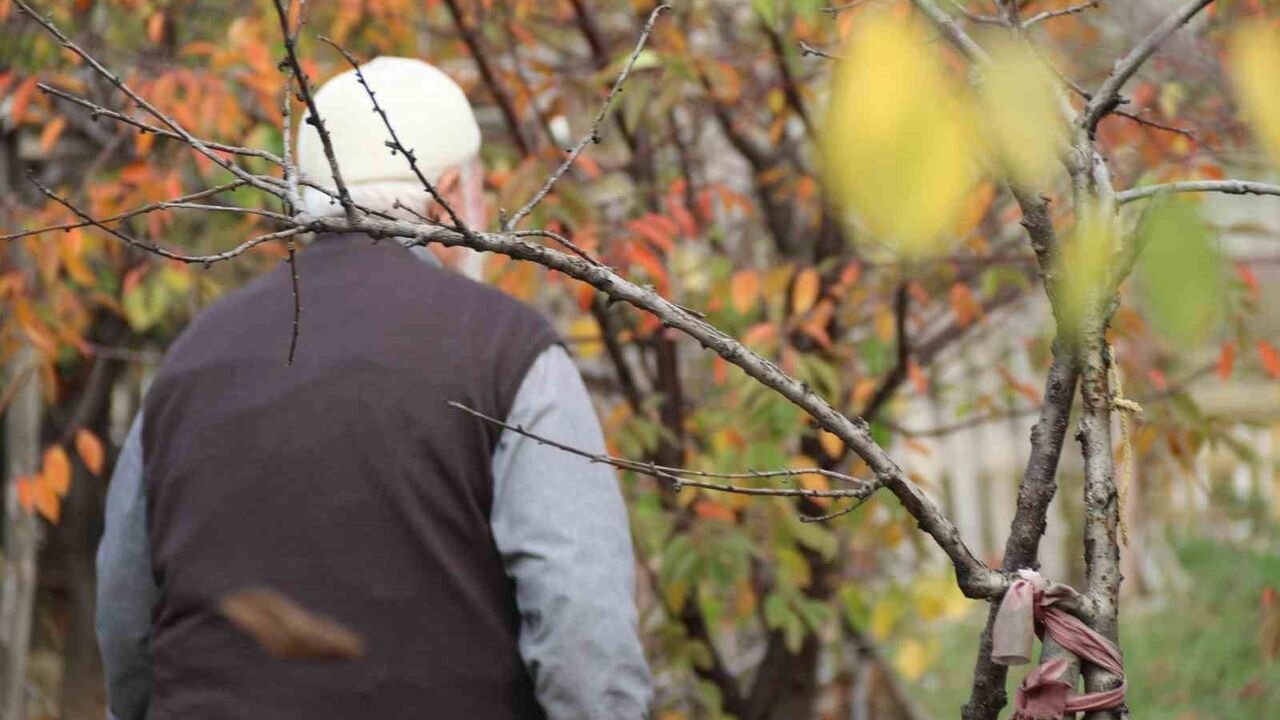 Eskişehir'de 90 yaşındaki adam çöplüğü 15 Temmuz Şehitleri Fidanlığı'na dönüştürdü