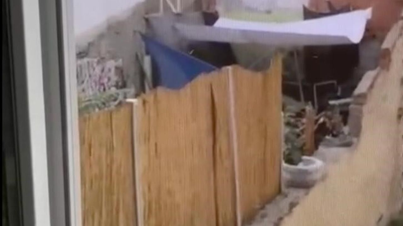 Eskişehir'de köpeğe eziyet eden şüpheli yakalandı