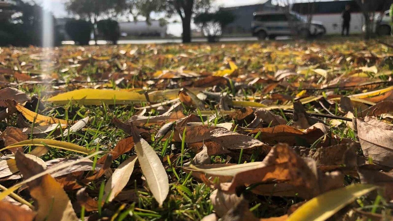 Eskişehir'de Sonbahar Manzarası: Fevziçakmak'ta Dökülen Yapraklar Fotoğraflık Görüntüler Oluşturdu