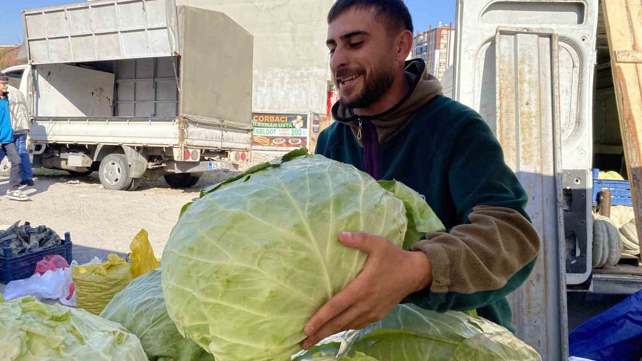Eskişehir pazarında 11 kiloluk devasa lahanalar ilgi görüyor