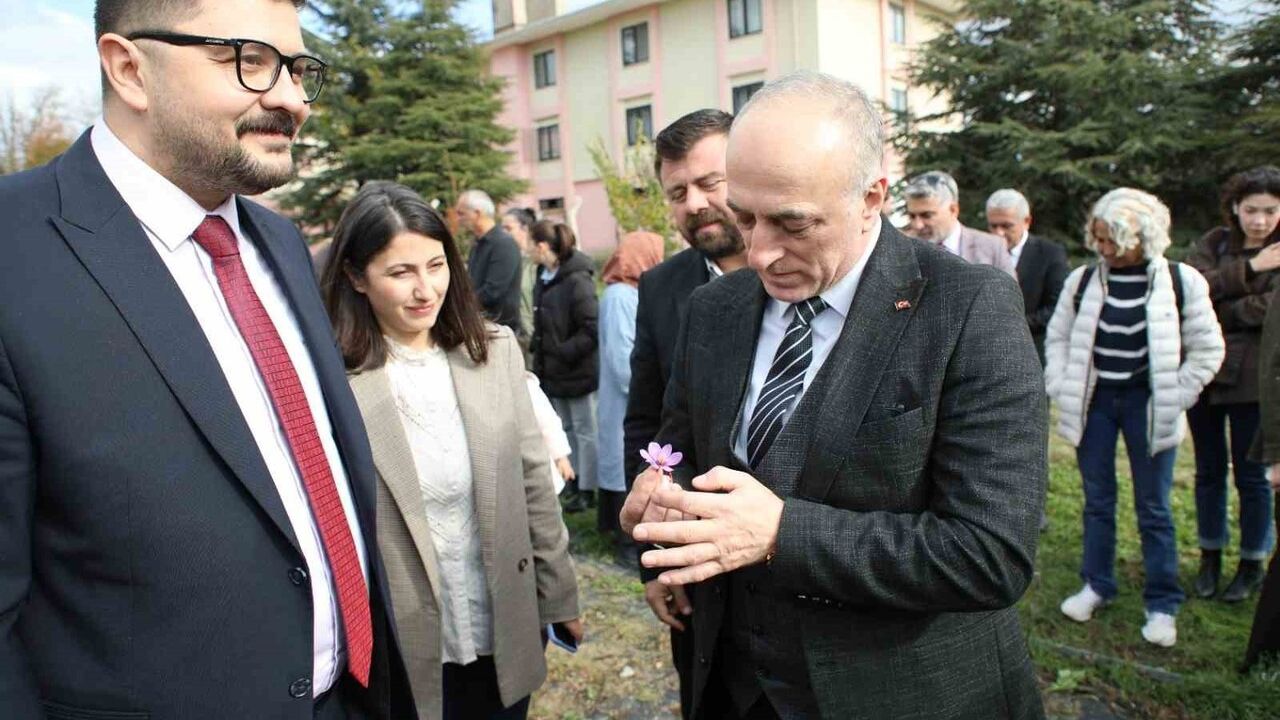 Eskişehir, Safran Üretiminde Öne Çıkıyor