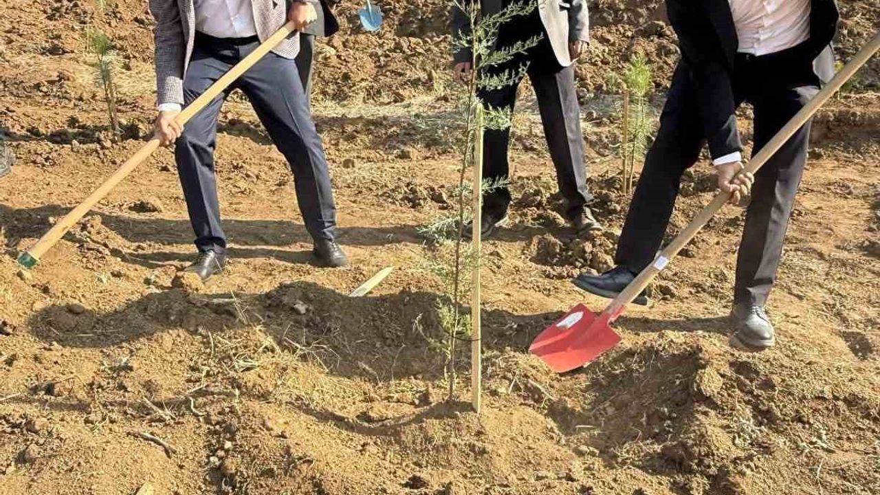 Evren’de 11 Kasım’da fidan dikme etkinliği