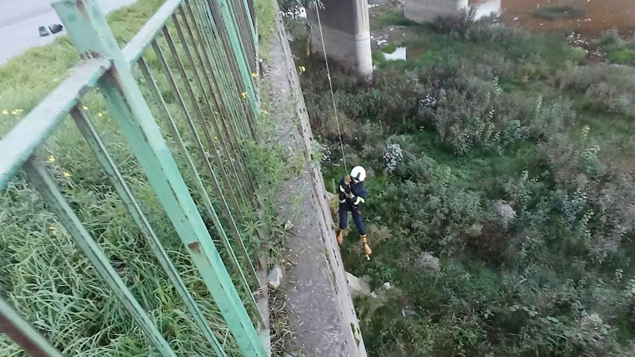 Filyos Çayı’ndan Kurtarılan Yavru Kedi