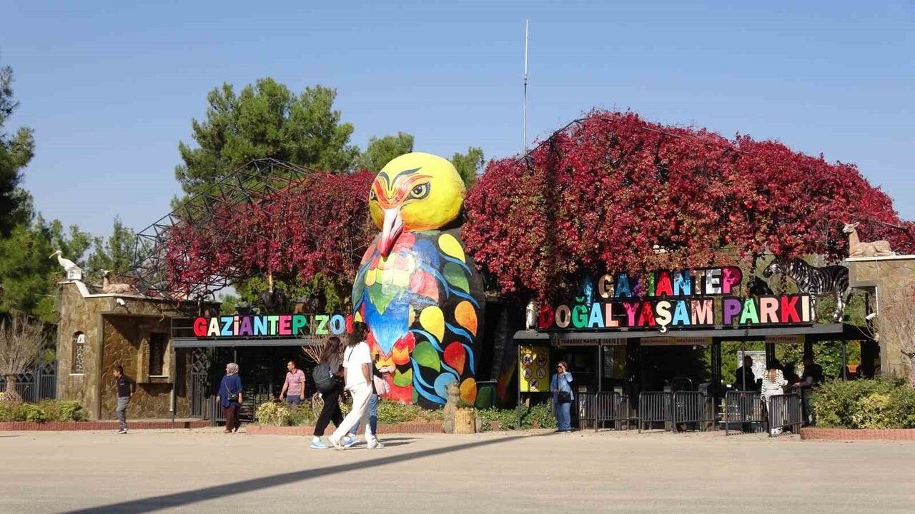 Gaziantep Doğal Yaşam Parkı’nda zürafalar ile bakıcıları arasındaki sıra dışı bağ