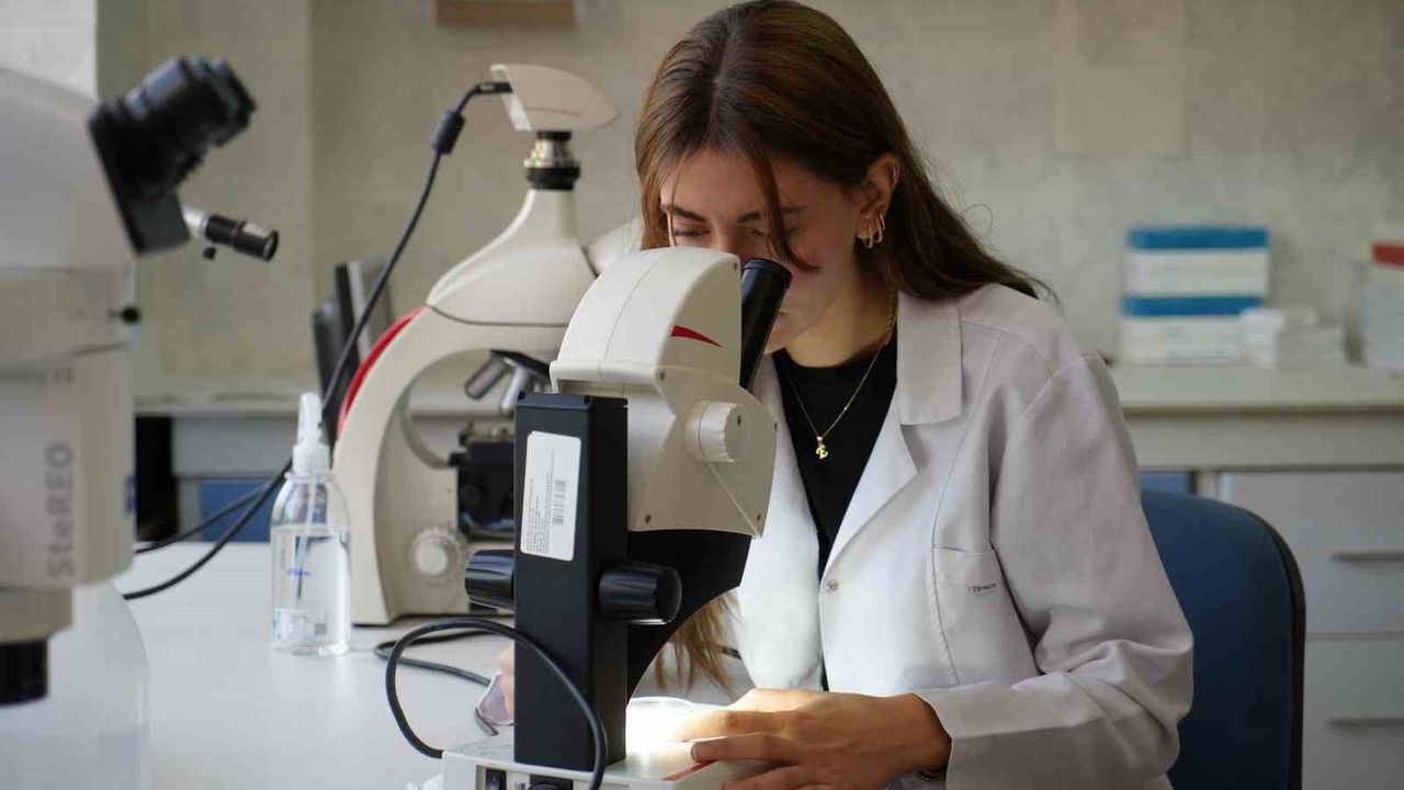 Gaziantep'te 'üvez' istilası: Sıcak sonbahar sinekleri artırdı