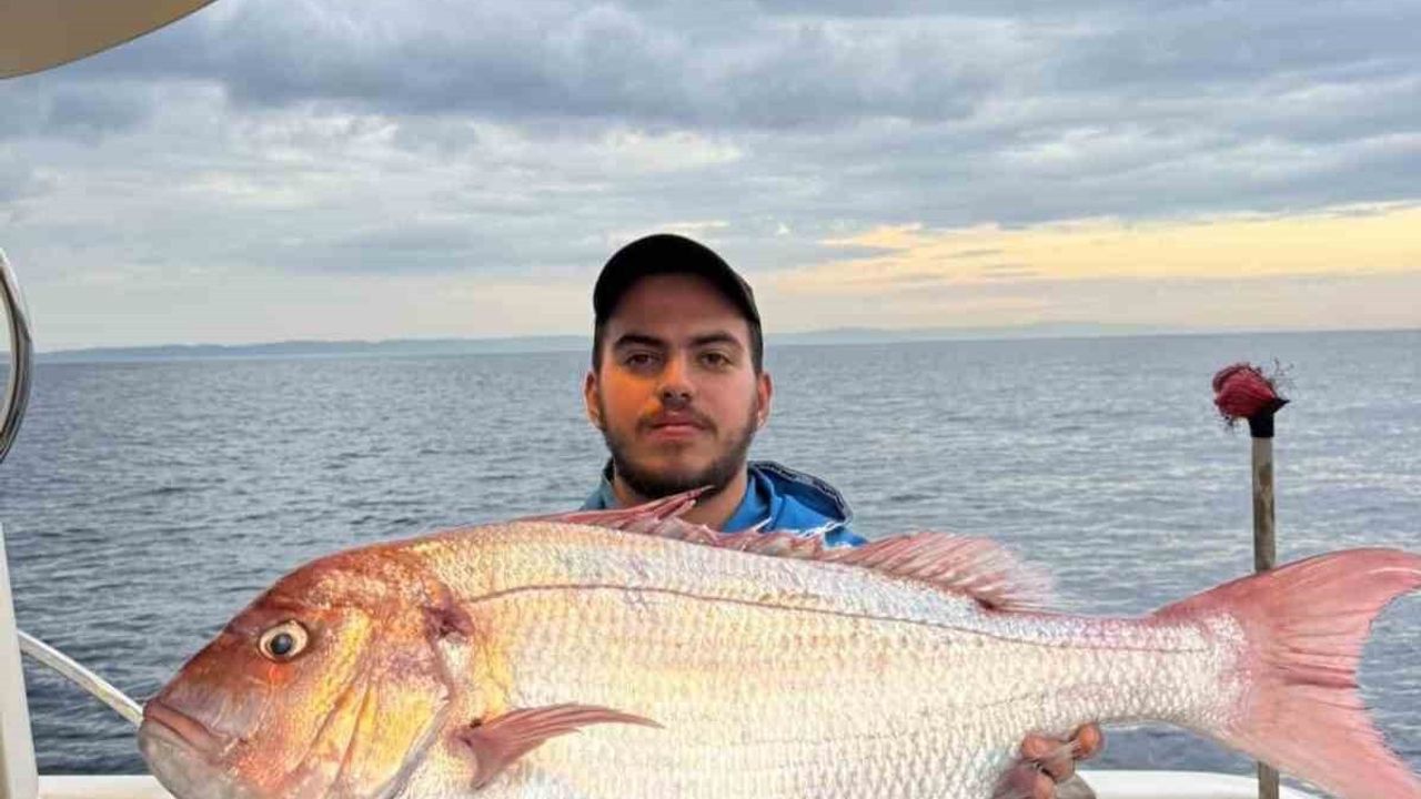 Gelibolu'da 12 kilogramlık mercan balığı yakalandı