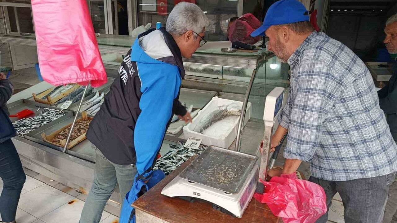 Gelibolu'da balık satış noktalarında kapsamlı denetim