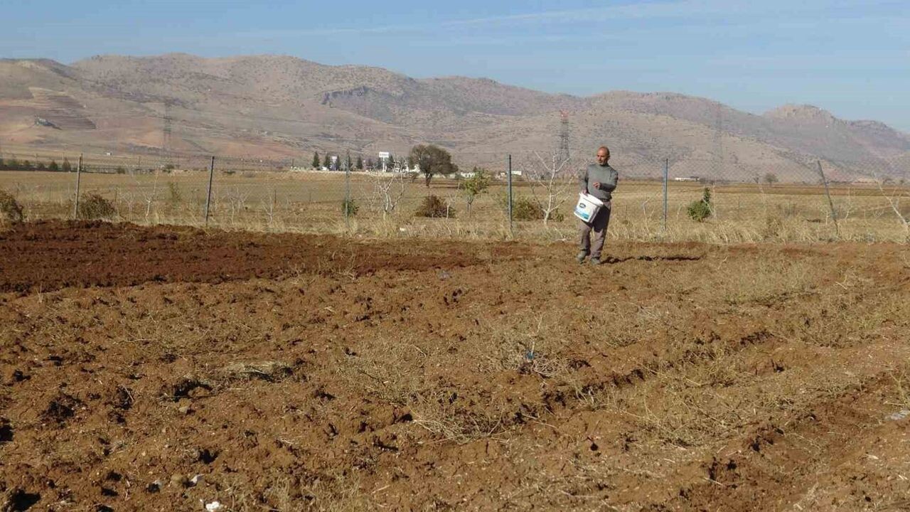Gercüş'te çiftçiler kış ekimine başladı