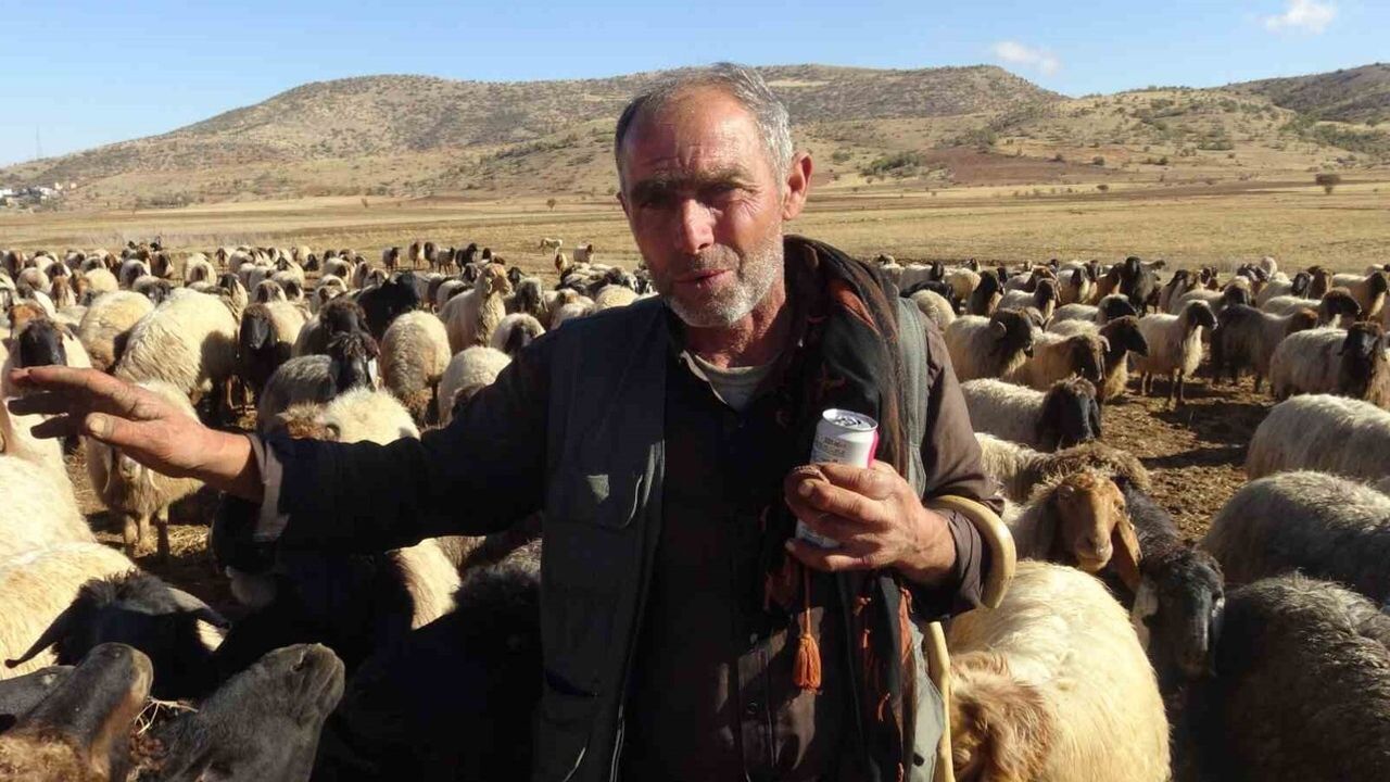 Gercüş üzerinden Nusaybin'e uzanan göçerlerin zorlu yolculuğu