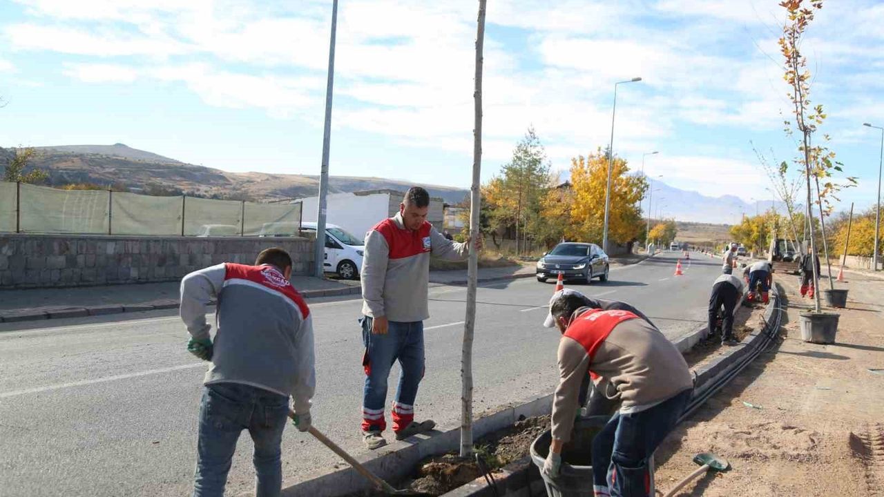 Gesi Mimar Sinan Caddesi'nde Asfalt Yenileme ve Ağaçlandırma Çalışmaları