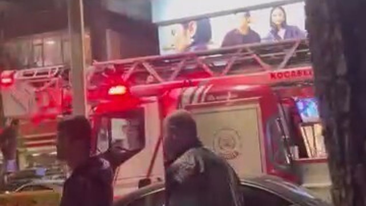 Gölcük'te ağaca çıkan çocuk itfaiye tarafından kurtarıldı