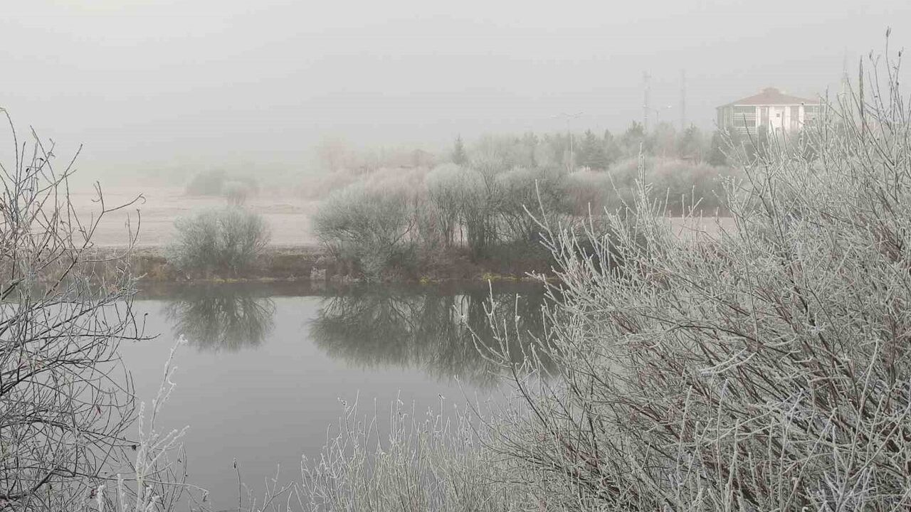Göle'de eksi 13°C: Ağaçlar kırağıyla kaplandı