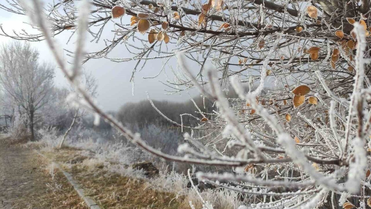 Göle'de hava eksi 14,6'ya indi, kırağı ve zorlu soğuklar etkili
