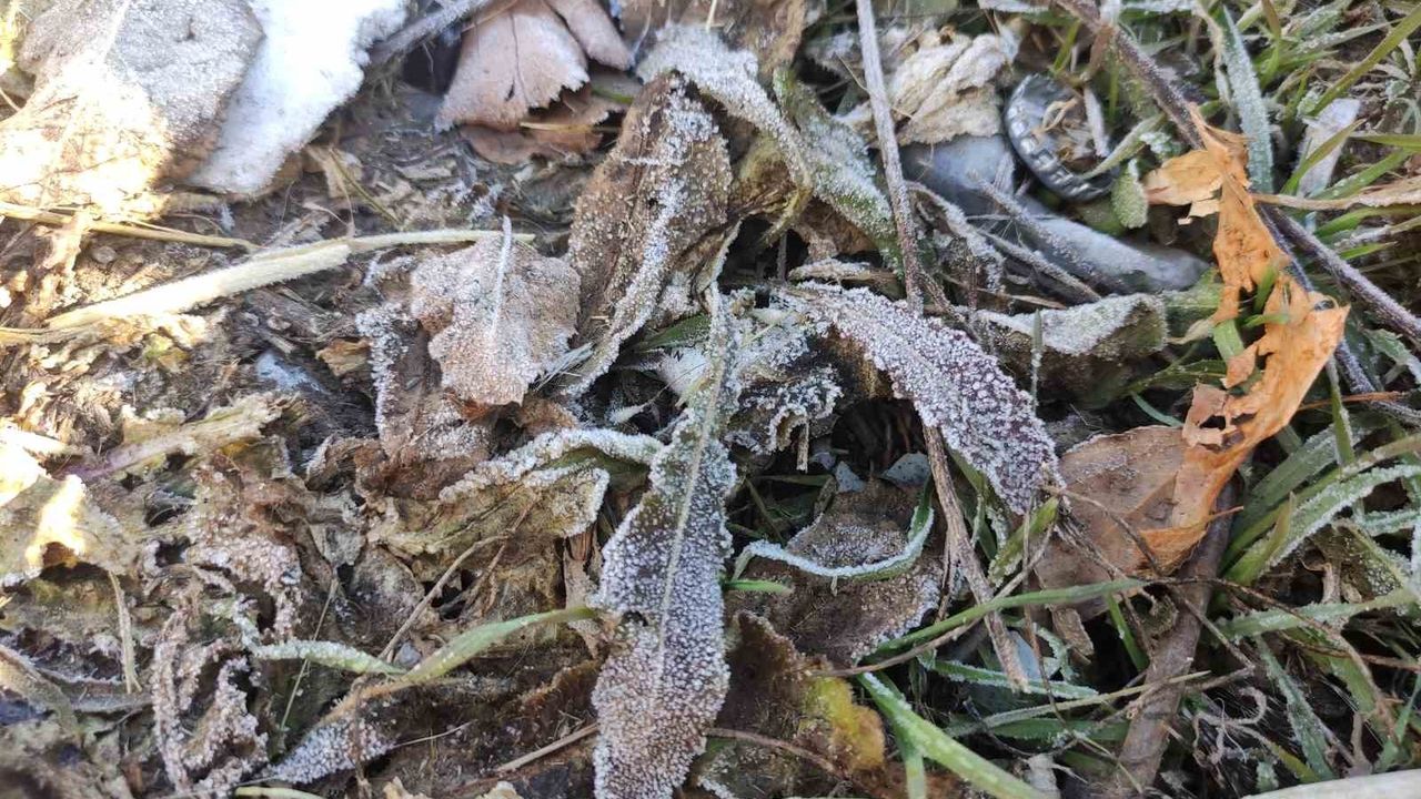 Göle, dün gece eksi 6,4 ile Türkiye'nin en soğuk yerleşimi oldu