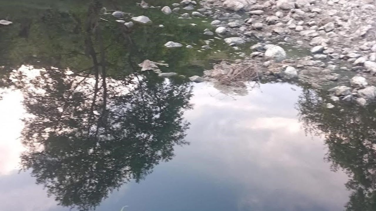 Gönen Çayı’nda kritik kirlilik: Bilim insanlarından acil eylem çağrısı