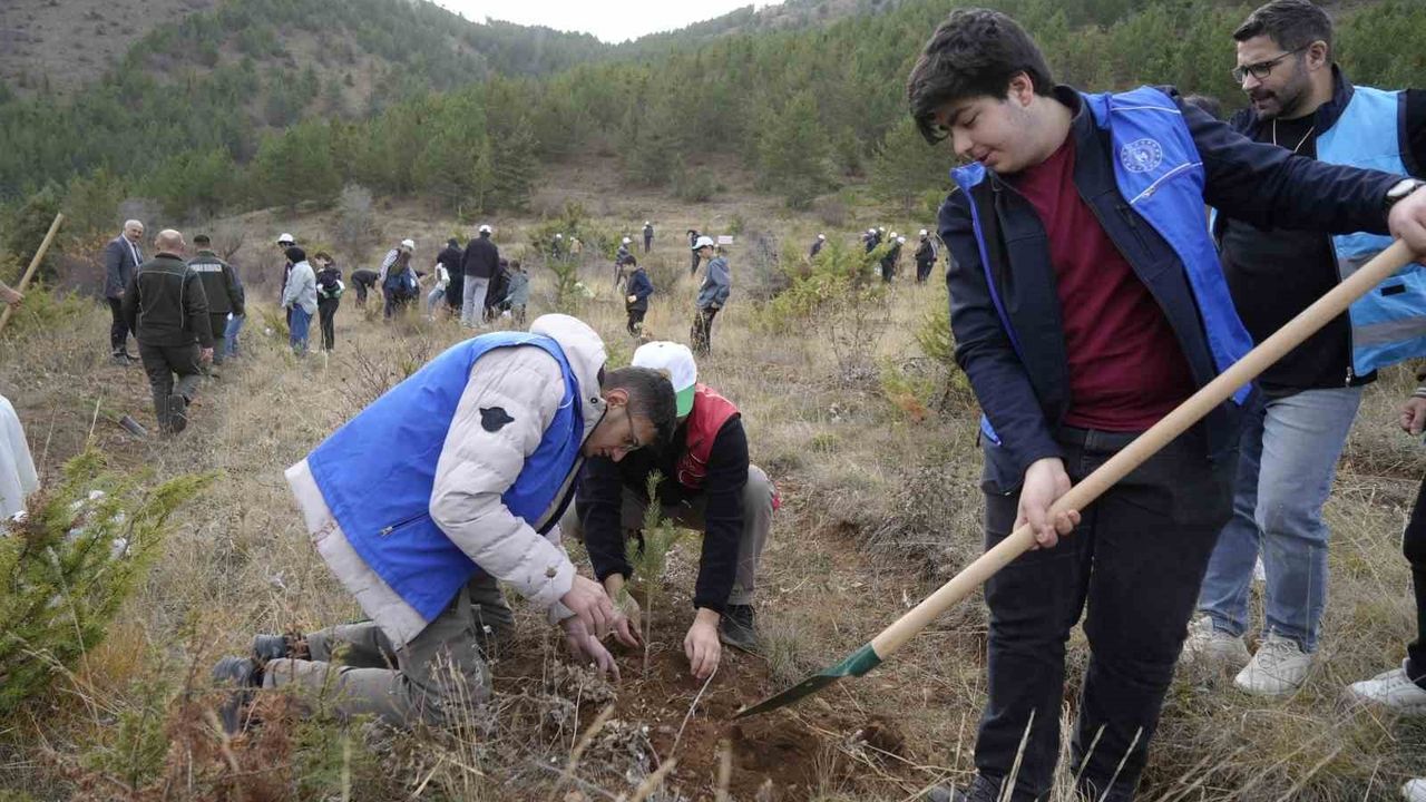 Gümüşhane'de 11 Kasım'da Sarıçam Fidanları Toprakla Buluştu