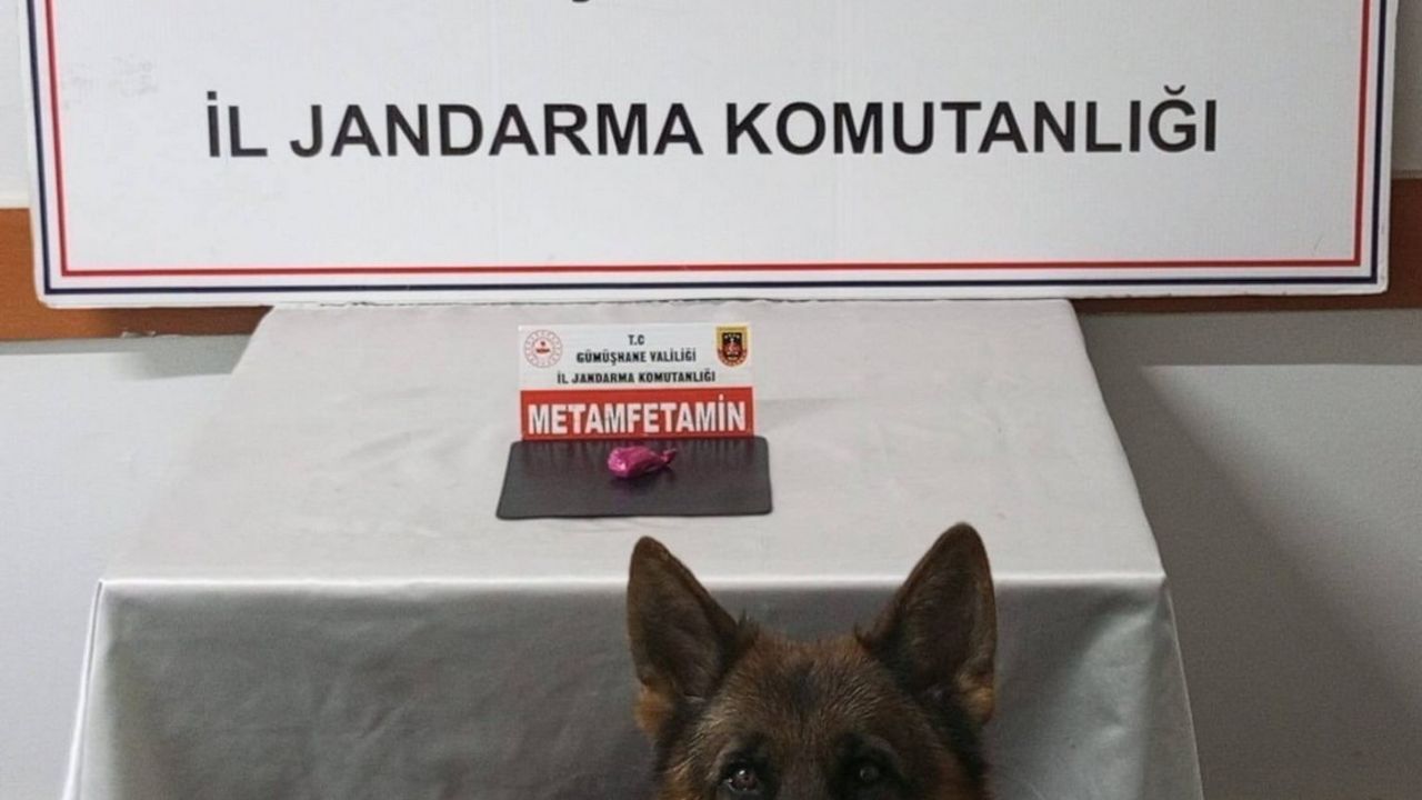 Gümüşhane’de uyuşturucu operasyonunda 2 kişi yakalandı