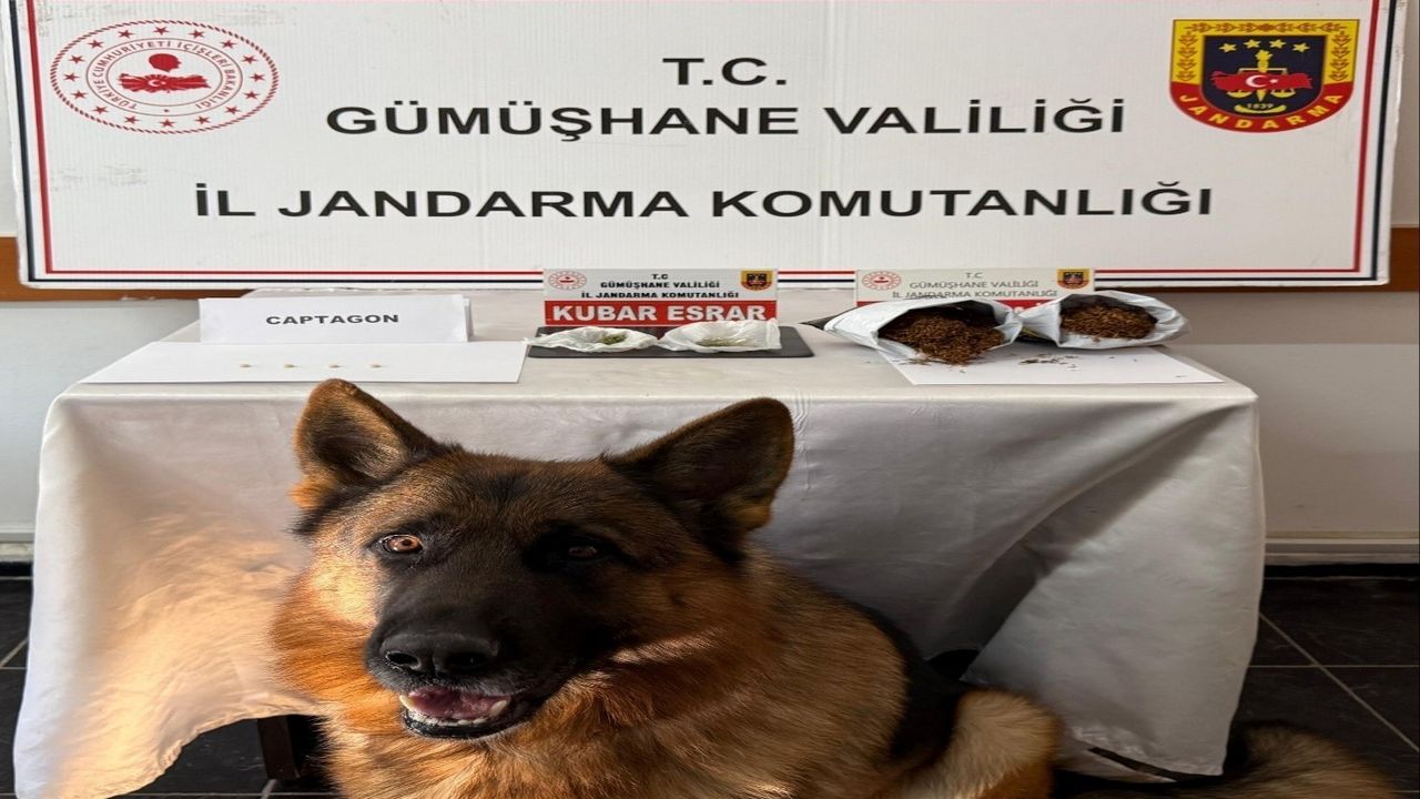 Gümüşhane'de uyuşturucu operasyonunda 4 kişi yakalandı