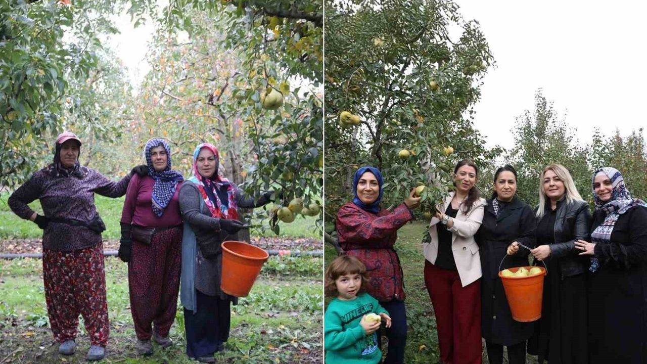 Gürsu'da Armut Hasadı: İş Kadınları ve Köylü Kadınlar Aynı Tarlada