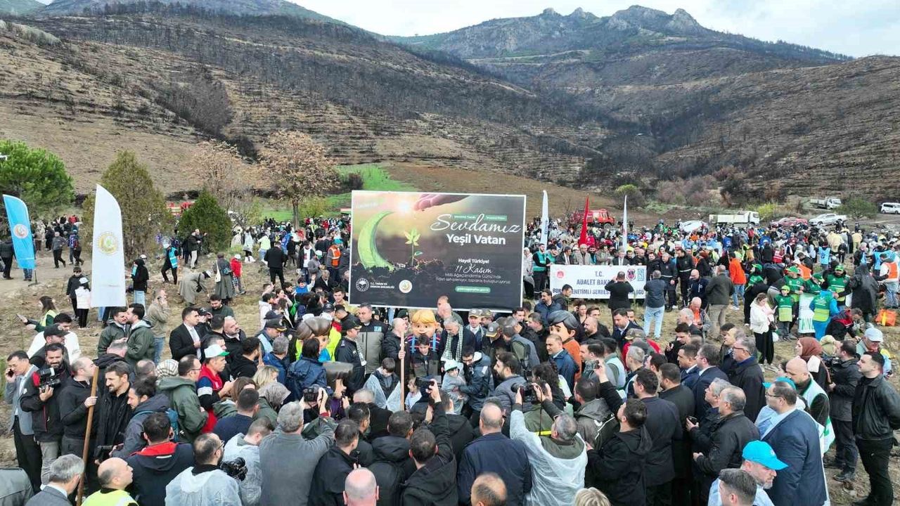 Gürsu'da Binlerce Fidanla Ağaçlandırma Seferberliği