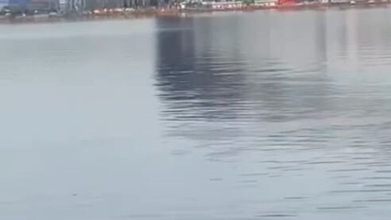 Halkalı Gümrüğü'nde konteyner yangını söndürüldü