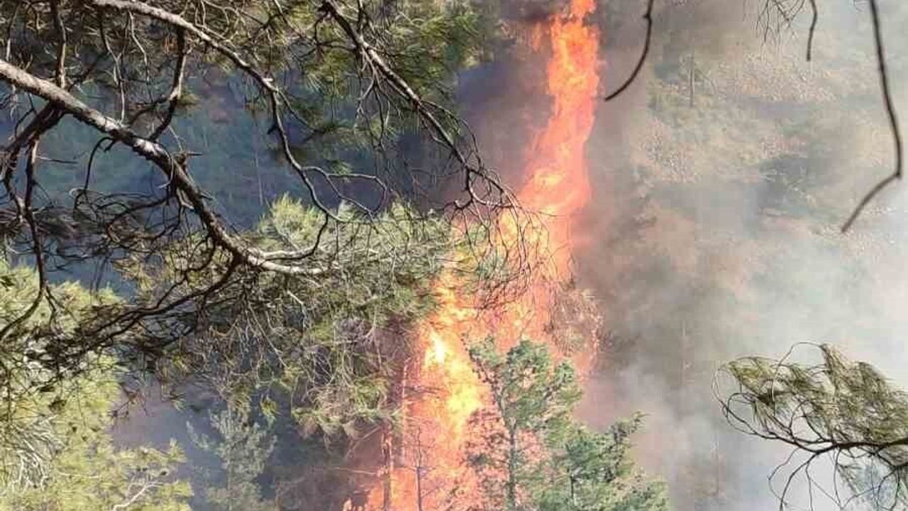 Hatay Belen'de orman yangınına müdahale devam ediyor