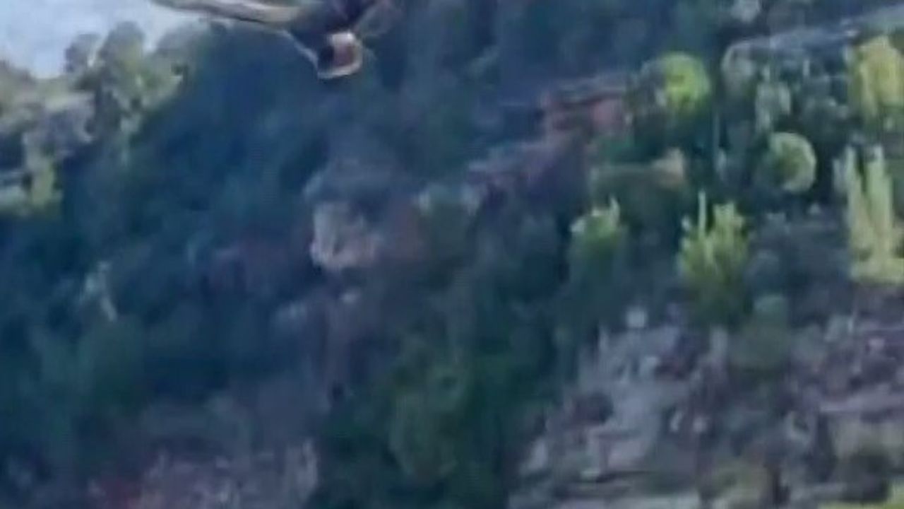 Hatay'da yılanın boğazladığı kartal vatandaşların müdahalesiyle kurtarıldı