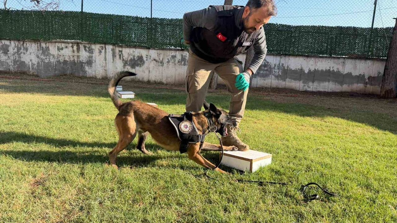 Hector ve Mailo, Batman'da uyuşturucu tacirlerinin korkulu rüyası