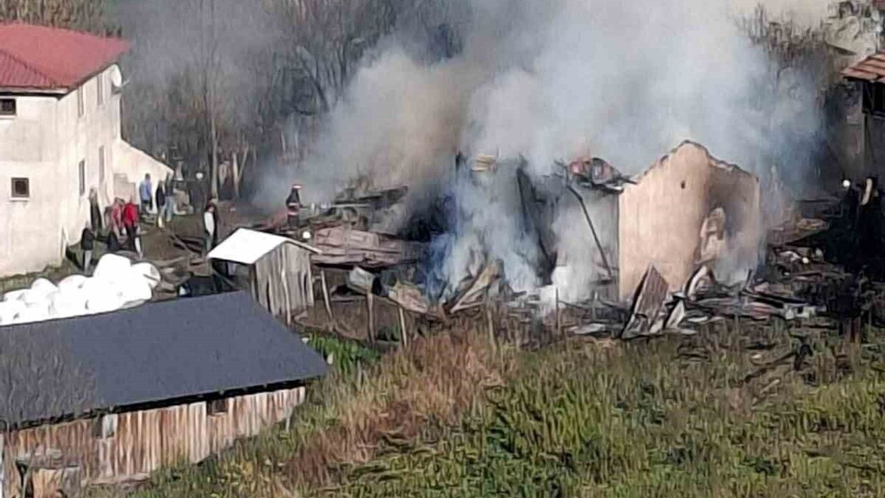 Hendek'te ev yangını samanlığa sıçradı