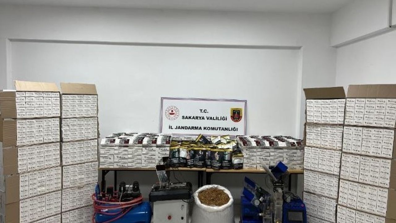 Hendek’te jandarma operasyonu: 1 gözaltı, yüzbinlerce makaron ele geçirildi