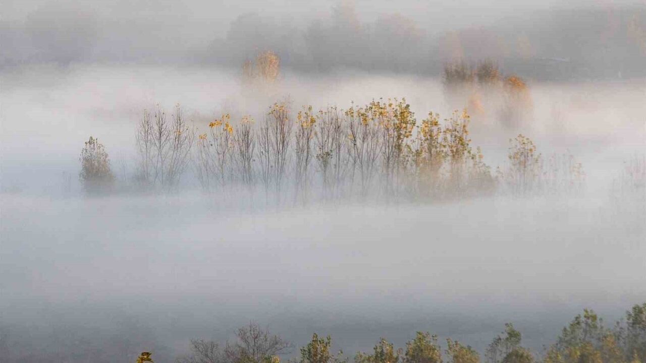 Hevsel Bahçeleri'nde Sonbahar Sisi Kartpostallık Görüntüler Yarattı