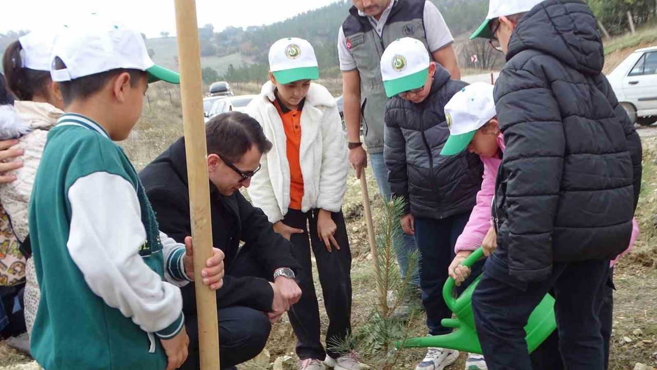 Hisarcık’ta 150 karaçam fidanı toprakla buluştu