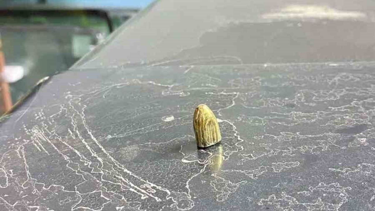 Hopa Sanayi Sitesi'nde maganda kurşunu aracın camını delip iş yerine girdi