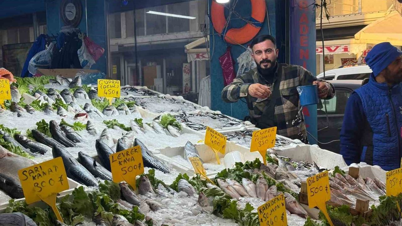 Iğdır'da 3 kilo hamsi 100 TL'ye: Balıkçıya gün boyu yoğun ilgi